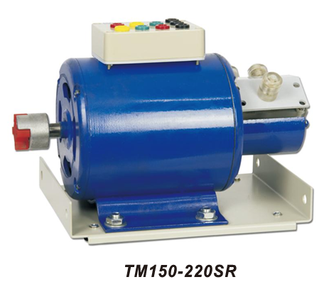 TM150-220SR THREE-PHASE SLIP-RING ASYCHRONOUS MOTOR
