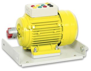 TM300-1500 THREE-PHASE ASYNCHRONOUS SQUIRREL CAGE MOTOR
