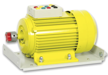 TM600-1500 THREE-PHASE ASYNCHRONOUS SQUIRREL CAGE MOTOR