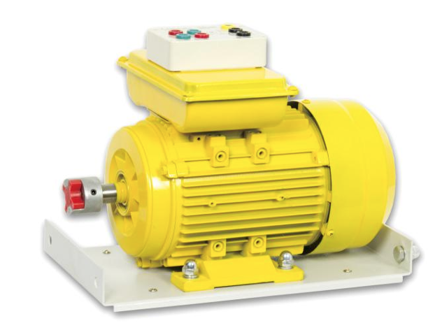 SM600-1500SR SINGLE-PHASE START & RUN CAPACITORS MOTOR