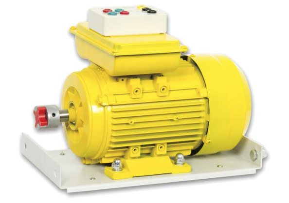 SM600-1500S SINGLE-PHASE START CAPACITOR MOTOR