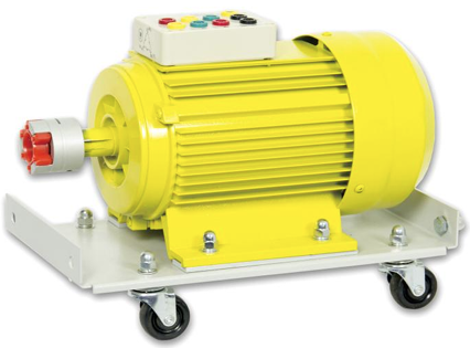 TM1000-1500 THREE-PHASE ASYNCHRONOUS SQUIRREL CAGE MOTOR