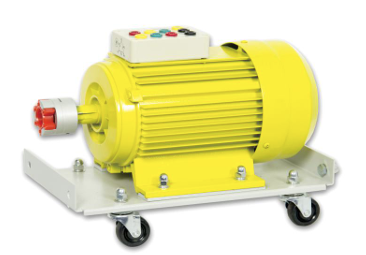 SM1000-1500S SINGLE-PHASE START CAPACITOR MOTOR